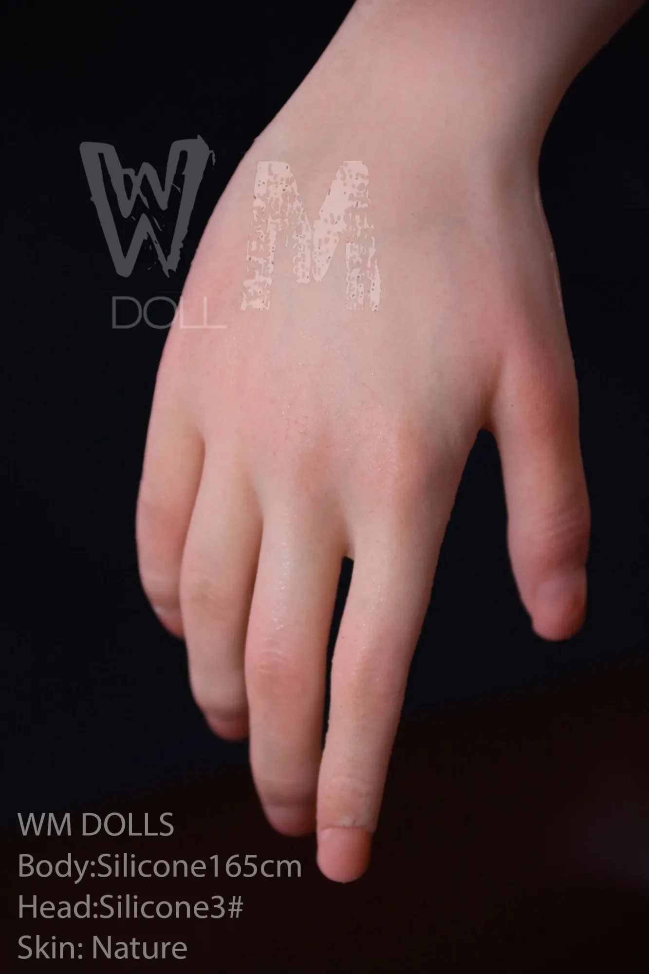 WM | Wendi 5ft 5/ 165cm Full Silicone Sex Doll view 5