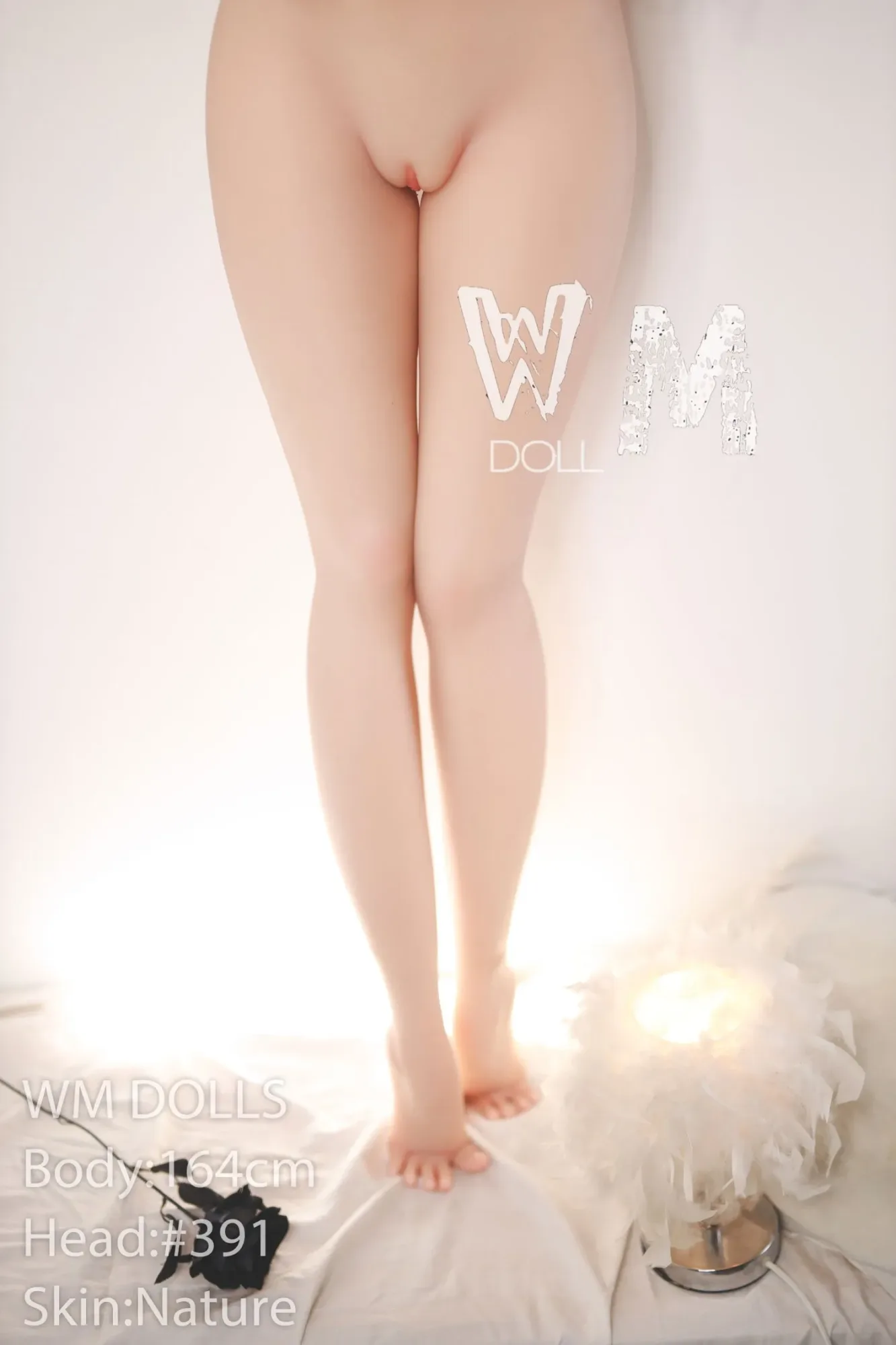 WM | Kimiko 5ft 5/ 164cm D Cup Sex Doll view 8